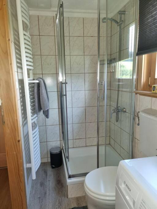 Ferienwohnung Ferienhaeuschen In Mariahof Exterior foto